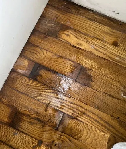 Structural drying in progress in a Miami home