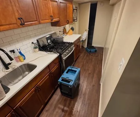 The First 24 Hours After Water Damage: What Actually Matters
