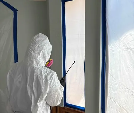 Why Mold Grows So Fast in South Florida Homes