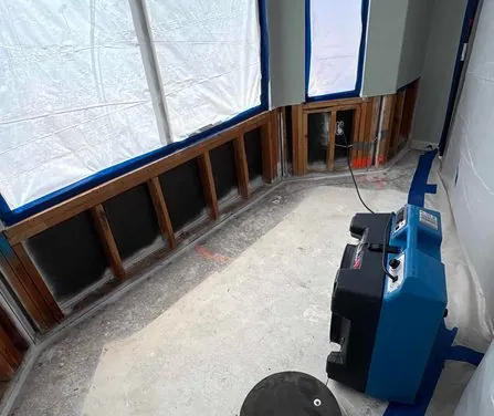 Why Mold Grows So Fast in South Florida Homes