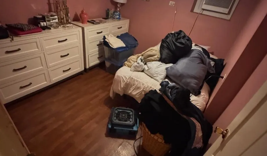 Why Mold Grows So Fast in South Florida Homes