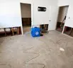 Why Mold Grows So Fast in South Florida Homes