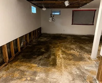Storm Water Intrusion and Structural Drying in Kendall, Miami