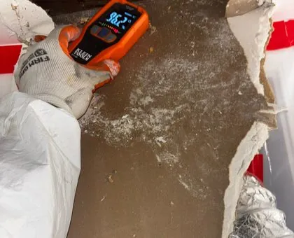Moisture Survey and Remediation in a Rental Property in North Miami, Miami