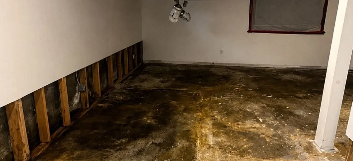 Storm Water Intrusion and Structural Drying in Kendall